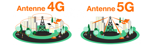 Exuvie 5g