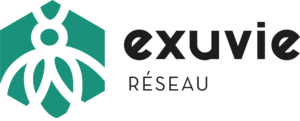 Exuvie réseau
