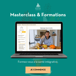 Formations et Masterclass en ligne